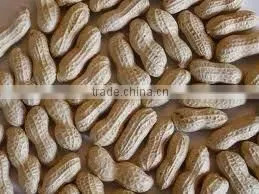 Peanuts in Shelled thumbnail-1