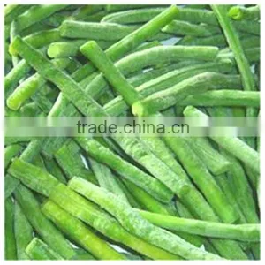 Broad Green Beans With Marketing Price for Hot Sale With HACCP&ISO thumbnail-5