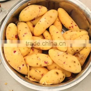 Industrial High Efficient Fresh Ginger Potato Washer and Peeler Root Vegetable Washing and Peeling Machine Fish Skin Peeler thumbnail-5