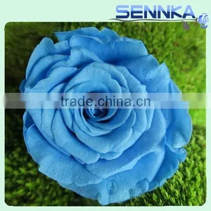 High Quality Pretty Color Preserved Rose Flower in New Products 2016 thumbnail-1