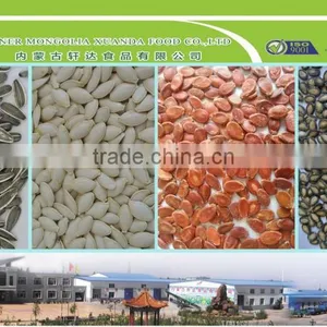 High Quality China Shine Skin Pumpkin Seed in Shell thumbnail-3
