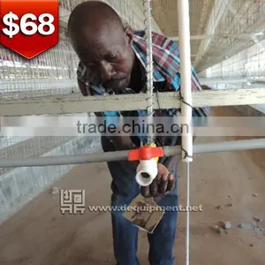 TA NO.1 Auto Drinking 120 Birds Nigeria Best Selling Poultry Cage for Chicken Farm thumbnail-1