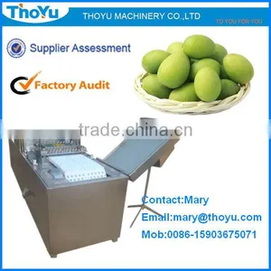Olive Core Extracting/Remover/ Seed Extracting Machine/ Separator/ Separating Machine(SMS: 0086-15903675071) thumbnail-1