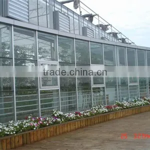 Light Steel Structure Multi Span Glass Greenhouse for Modern Agriculture thumbnail-2