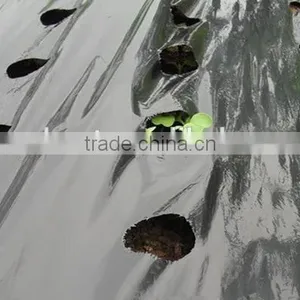 Agricultural Plastic Black Builders Mulch Film thumbnail-5