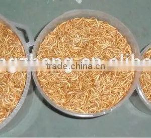 Freeze Dried Mealworms thumbnail-3