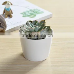 Indoor Mini Ceramic Decor White Plant Pot thumbnail-3