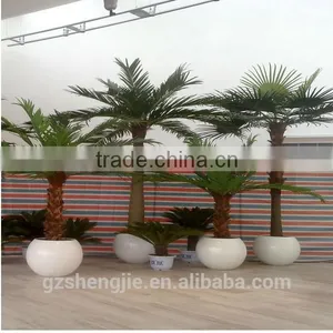 Mini Plastic Palm Trees Bonsai Tree Ornamental Artificial Palm Tree thumbnail-1