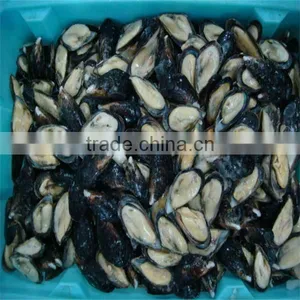 Frozen Cooked Mussels Shells thumbnail-1