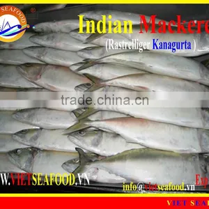 FROZEN INDIAN MACKEREL thumbnail-4
