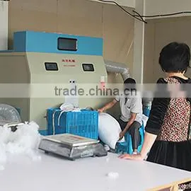 Shanghai Simiqi Costume Co., Ltd. company overview - view 3 thumbnail