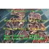 Gloeostereum Incarnatum China thumbnail-1