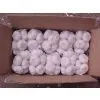 New Crop Fresh Garlic thumbnail-1
