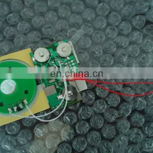 Wholesale Competitive Push Button Sound Module thumbnail-2