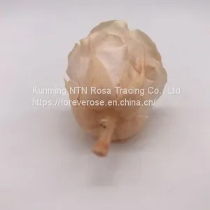 Preserved Rose Flowers for Wedding Decoration Flower Arrangement thumbnail-2
