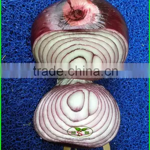 Mesh Bag/carton Packaging Red One Onion Prices thumbnail-2