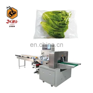 Factory Direct Selling Down Pillow Packing Machine Cabbage Pillow Packing Machine Servo Control Easy to Operate thumbnail-1