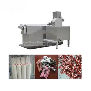 High Quality Single Screw Extruding Dog Treats Making Machine Pet Chew Food Processing Line thumbnail-2