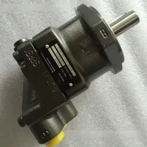 Double Vane Pump F11-SQP21-21-11-1DC-18 Injection Molding Machine F11 Oil Hydraulic Motor thumbnail-2