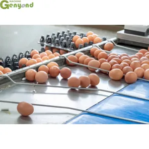 Automatic Egg Grading Machine Poultry Egg Sorting Machine by Weight thumbnail-3
