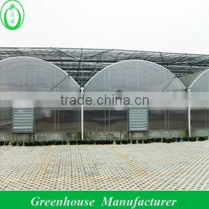 8mm Holllow Polycarbonate Greenhouse thumbnail-1