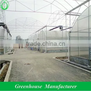 Dome Type 10mm Polycarbonate Greenhouse thumbnail-1