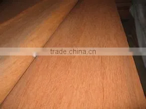 0.3mm Gurjan Veneer for India Market thumbnail-1