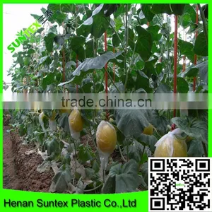 Heavy Duty Long-lasting Flexible Growing Vine Vegetables Support Net thumbnail-4
