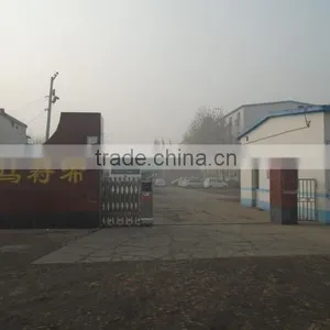 Baoding Tianma Interlining Co., Ltd. company overview - view 2 thumbnail