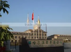 Harbin Evergreen Industrial Co., Ltd. company overview - view 1 thumbnail