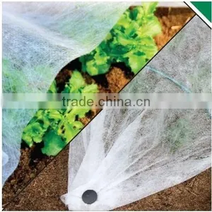 Green Fleece Blanket thumbnail-1