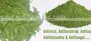 Neem Leaf Powder thumbnail-5