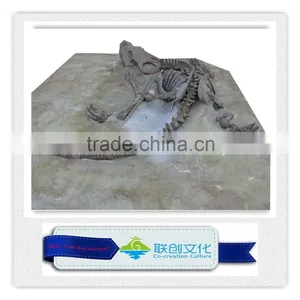 High Quality Original Size Dinosaur Fossil thumbnail-5