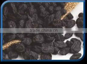 Black Raisin. thumbnail-1