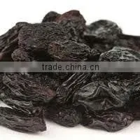 Black Sultana Raisin thumbnail-1