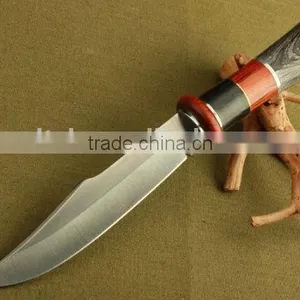 OEM Outdoor Hunting Knife / Combat Knife UD50081 thumbnail-1