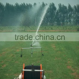 10 Acres Carots Irrigation thumbnail-2