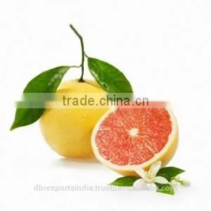 Grapefruit Oil (100% Pure) thumbnail-1