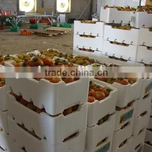 Vegetable Box Mold / Fruit Box Mold / EPS Mold thumbnail-1