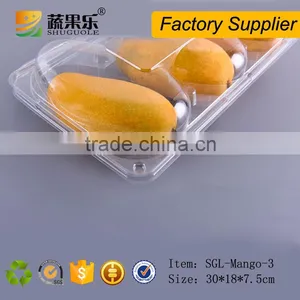 Transparent PET Plastic 3 Mango Box and Tray thumbnail-6