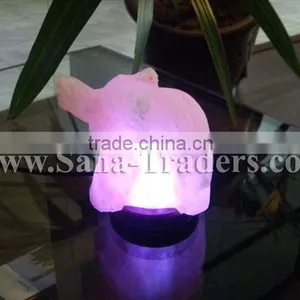 Mini Salt Lamps / LED Salt Lamps / USB Salt Lamps / Salt Stone Lamps / Salt Crafts Lamps / Animals Salt Lamps/ Salt Lamp Supplie thumbnail-1