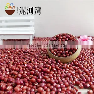 Adzuki Bean Small Red Bean thumbnail-4