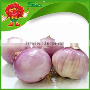 2015 Crop Fresh Red Onion in Mesh Bag Onions in Bulk thumbnail-2