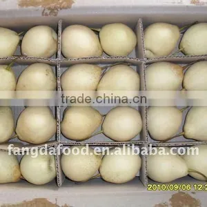 Shandong Good ya Pear Carton Packing thumbnail-1