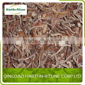 China IQF High Quality Frozen Mushroom Black Fungus Hot Sales thumbnail-5