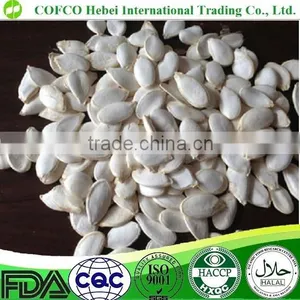 Snow White Pumpkin Seeds thumbnail-1