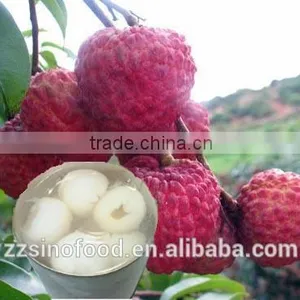 New Crop Canned Fruit With Good Taste Canned Lychees thumbnail-1