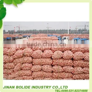 China Fresh Pure White Garlic thumbnail-4