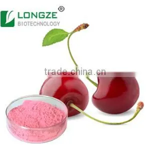 Acerola Cherry Fruit Powder West Indian Cherry Powder thumbnail-1