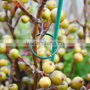 Gardening PVC Coated Soft Plant Ring thumbnail-2